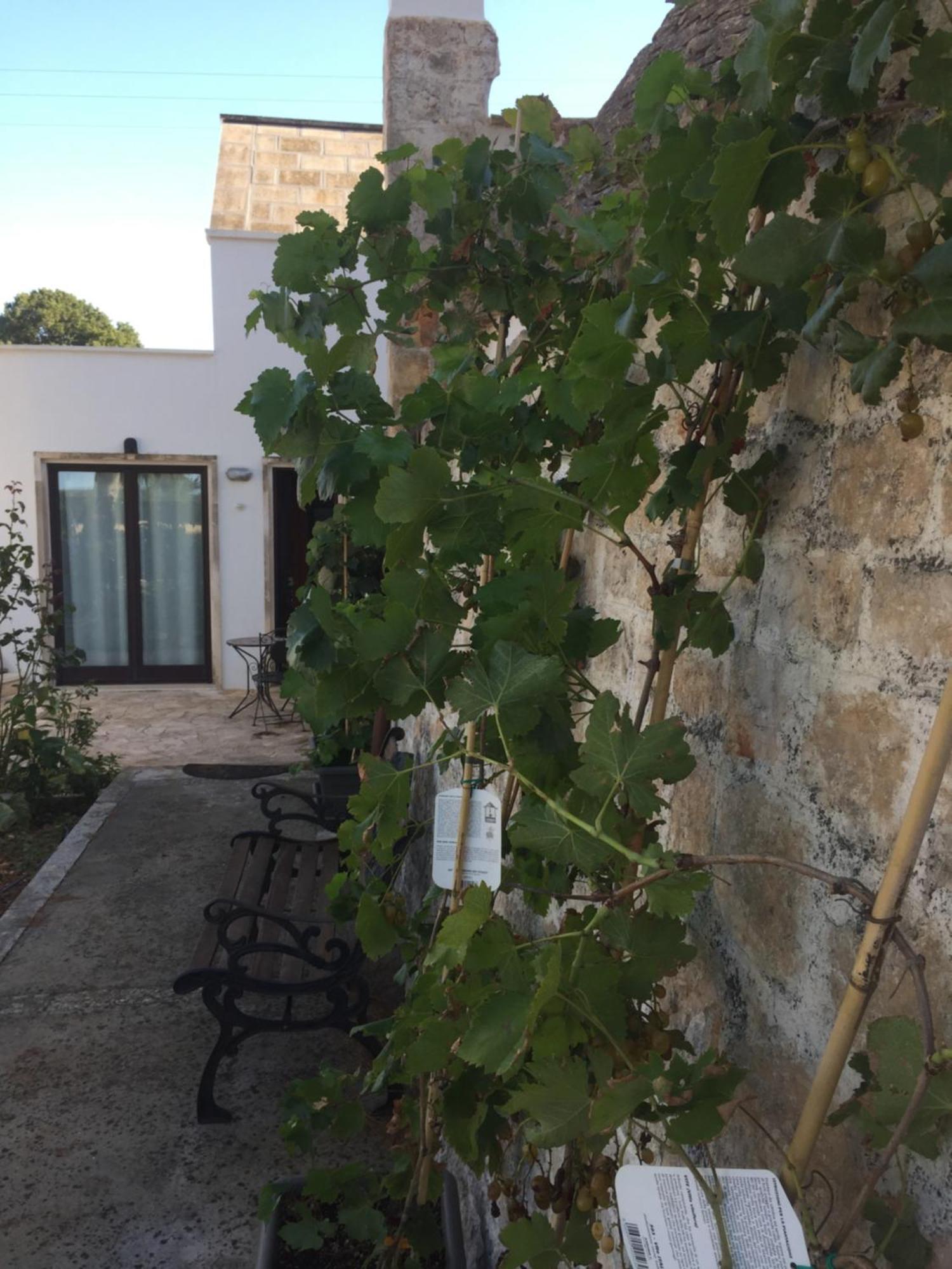 Country house Masseria Battaglini