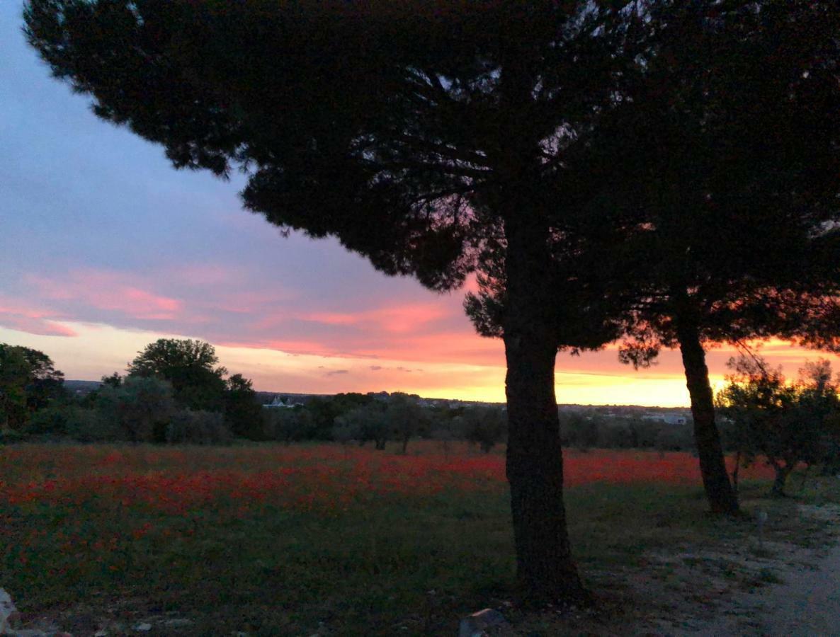 Masseria Battaglini Country house